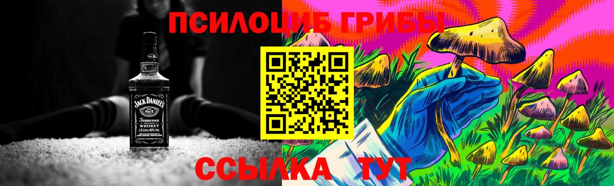 Амурск  купить  сайты  Вход с VPN  Псилоцибиновые грибы ЛСД 